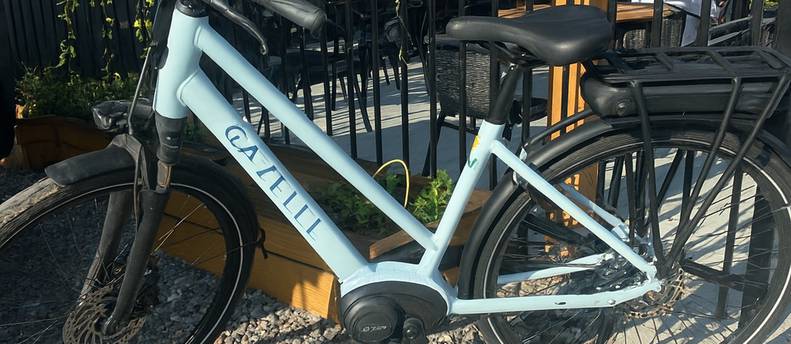 Gazelle Medeo T9 E-bike