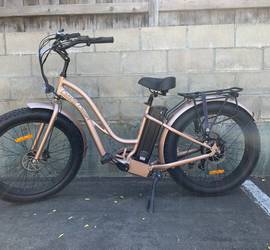 750w EBike