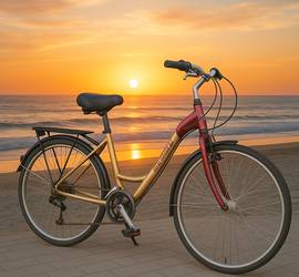 Women’s Trek 7300 step through Bike