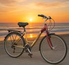 Women’s Trek 7300 step through Bike