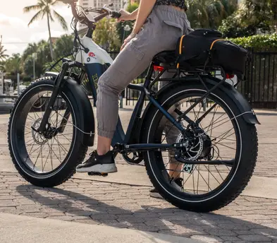 IMREN Electric Bike ebike for Adults. Powerful 750W Motor. Shimano 7-Speed when used as a regular bike. Fat Tire.