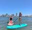 Retrospec Stand Up Paddleboard