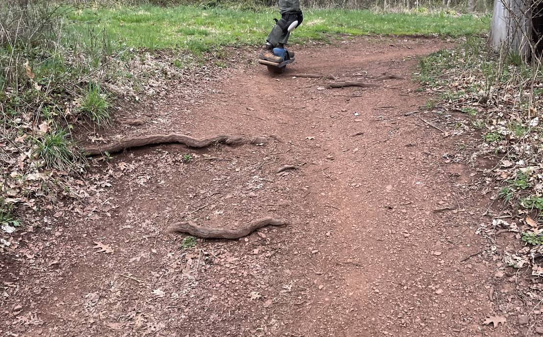 Onewheel Pint