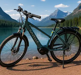Gazelle Medeo T10 E-Bike