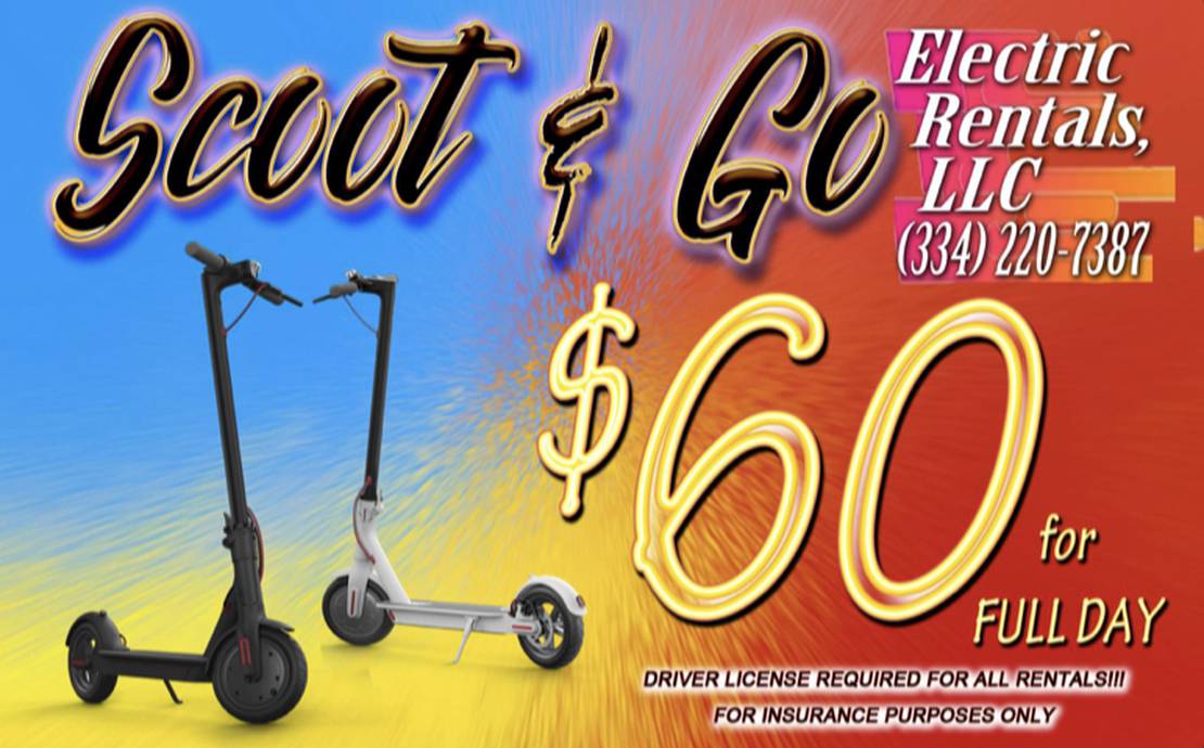 Electric Scooters (stand on)