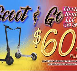 Electric Scooters (stand on)