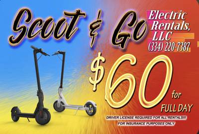 Electric Scooters (stand on)
