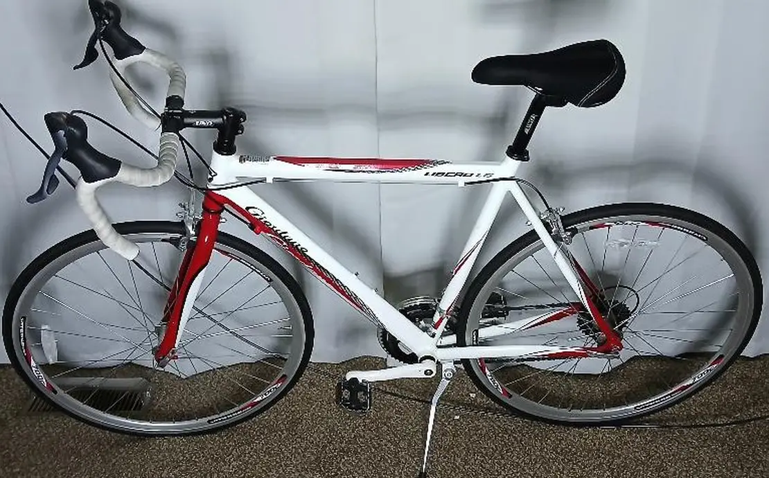 Giordano Libero 1.6 Bicycle