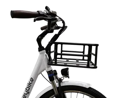 Ebike Cityscape