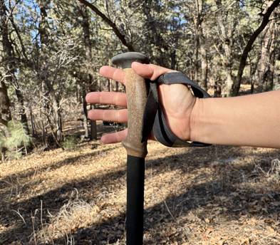 Black Diamond Alpine Carbon Cork Trekking Poles