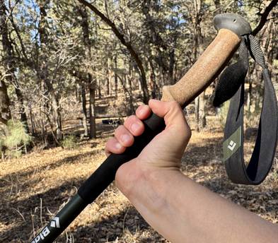 Black Diamond Alpine Carbon Cork Trekking Poles