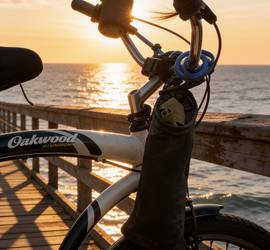 Beach bike