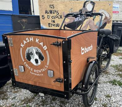Bunch Bike Electric Cargo Trike