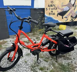 Tern Quick Haul Pedal Assist E-Bike