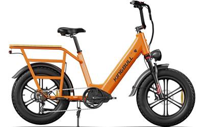 9:00 AM Delivery To Your Location King Bull Voyager 2.0 2 Seater Cargo E-Bike (#2)