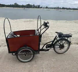 Family Cargo Bike