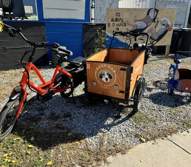 Bunch Mini Cargo Bike