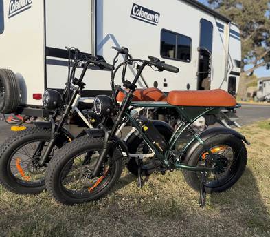 Electric bikes