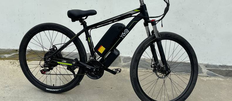 Electric mountain bike