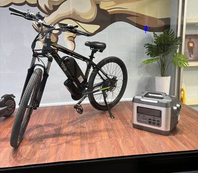 Electric mountain bike