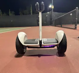 segway mini