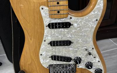 Guitar rental in Port Charlotte