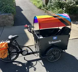 Bunch Electric Cargo Trike