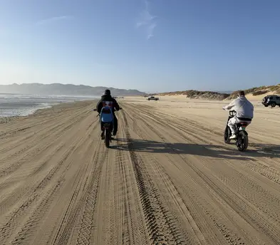 Electric bikes