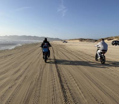 Electric bikes