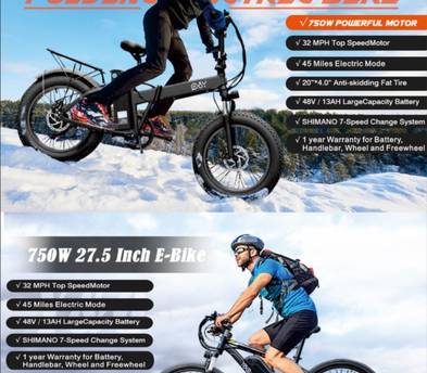 Electric mountain bike