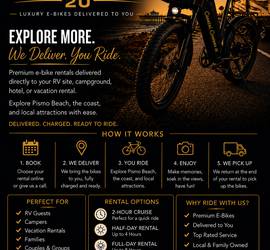 Electric bikes