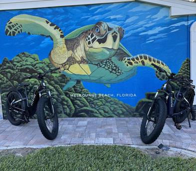 (1) "Aventure” Aventon fat-tire e-bike