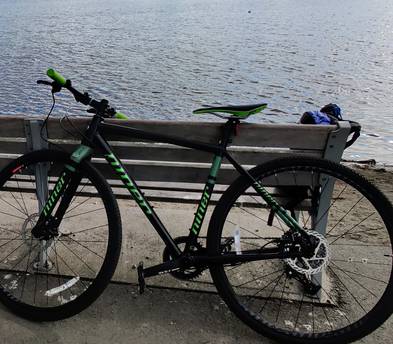 Niner RLT 9 Gravel Bike, 50cm