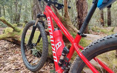 Quadro specialized best sale rockhopper 2019