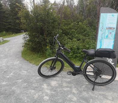 Haven Step Through E-Bike #1 (Red Bag)