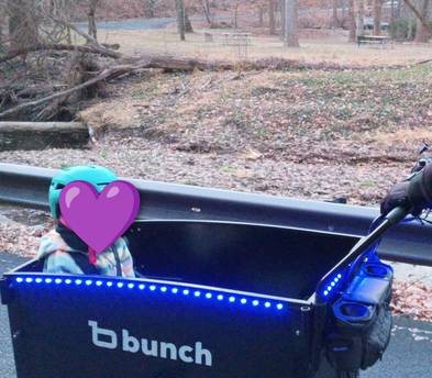 Bunch Bike Original 4 Electric Cargo Trike for Families