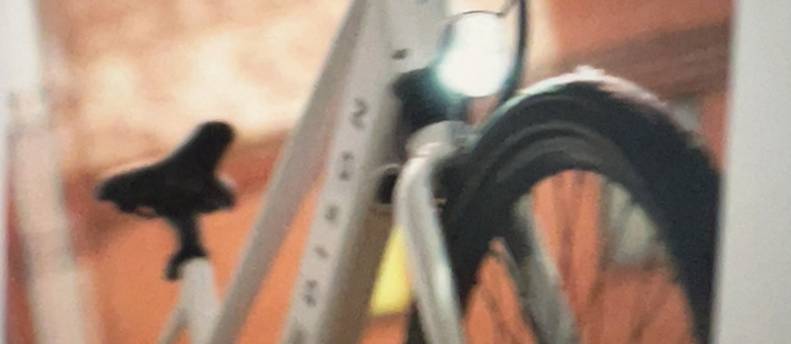 Edison Electric Assist Bike