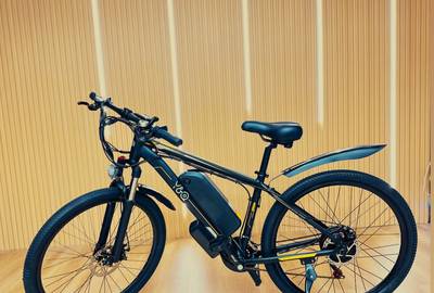 Electric mountain bike