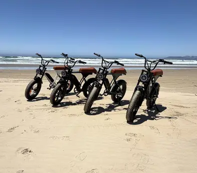 Electric bikes
