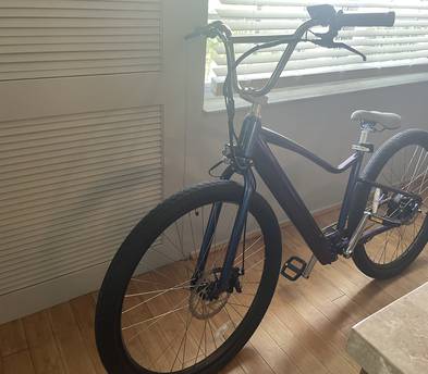 Hurley Hydrous E-Bike