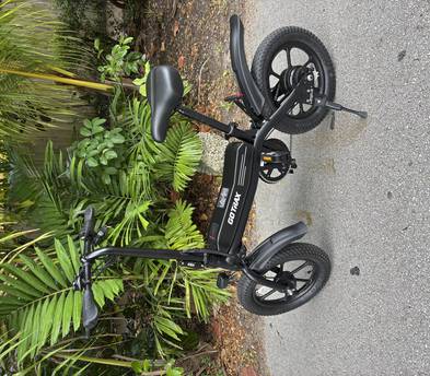 Fat Tire Electric Bike