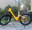 Electric Bike, long range, pedal assist