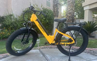 Electric Bike, long range, pedal assist