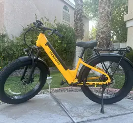 Electric Bike, long range, pedal assist