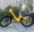 Electric Bike, long range, pedal assist