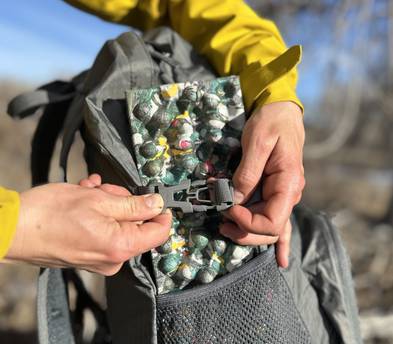 Venture Pal Lightweight Packable Backpack