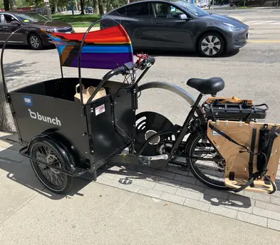Bunch Electric Cargo Trike