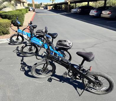 Lectric XP Lite eBike 2.0 (I have 3)