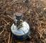 Snow Peak Giga Power 2.0 Backpacking Stove