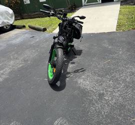 Seeker 24 Ebike